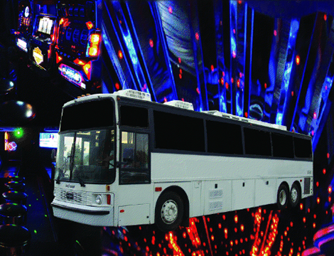 In The Limelight…  Vendor Spotlight… Party Bus Phoenix